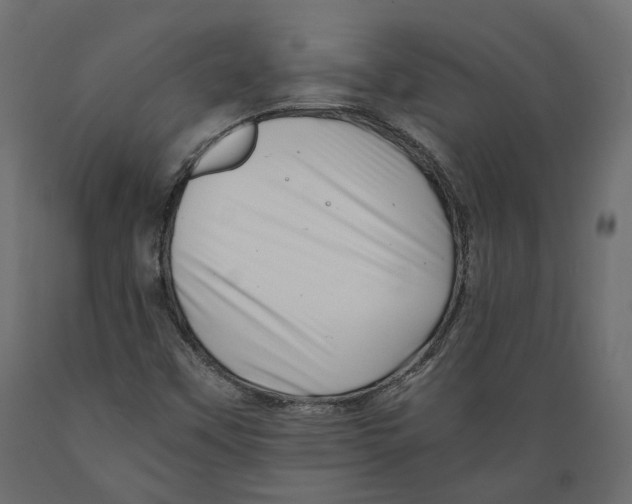 X0000088891451200707061421