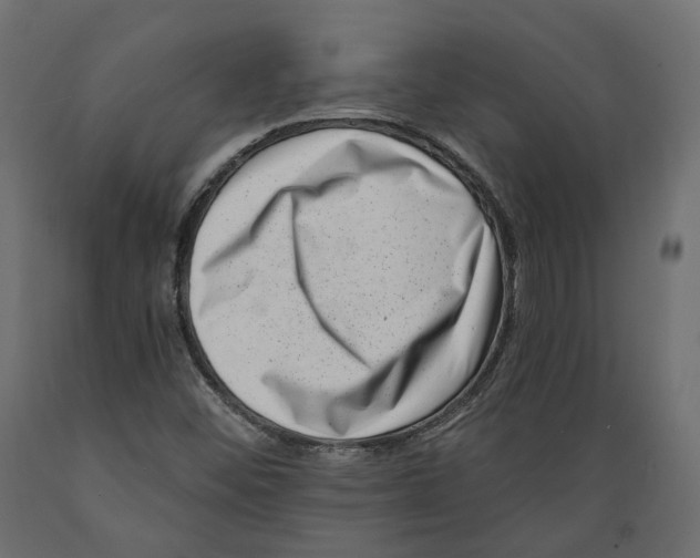 X0000088891452200707061421