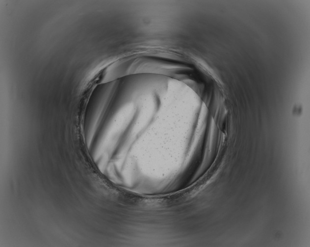 X0000088891453200707061421