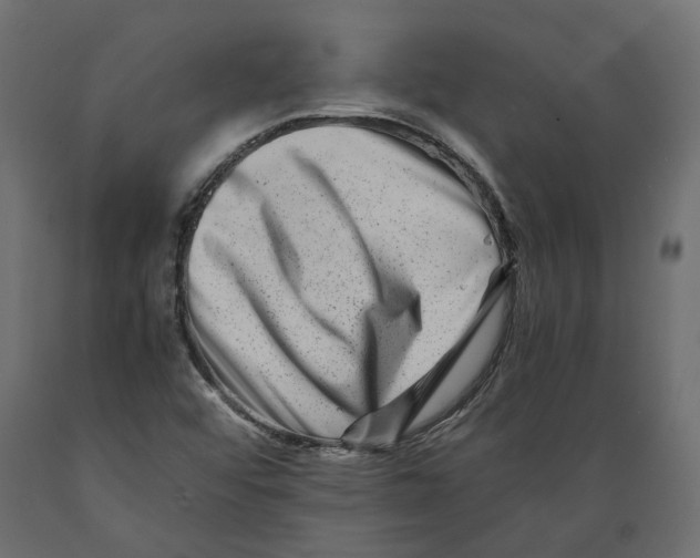 X0000088891456200707061421