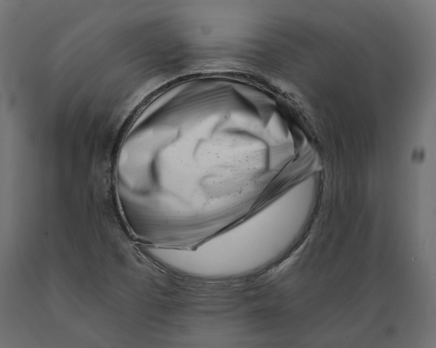 X0000088891457200707061421
