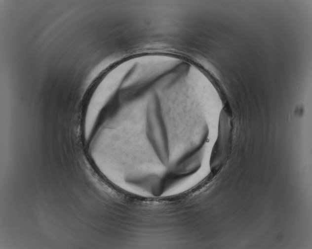 X0000088891458200707061421
