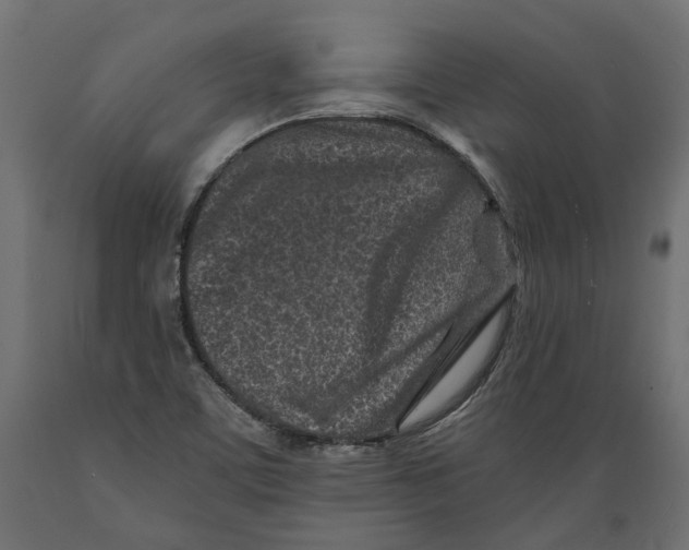 X0000088891459200707061421