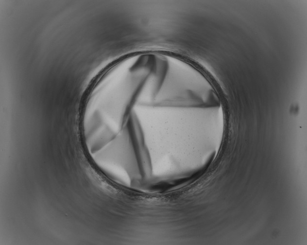 X0000088891460200707061421