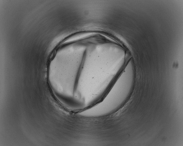 X0000088891461200707061421