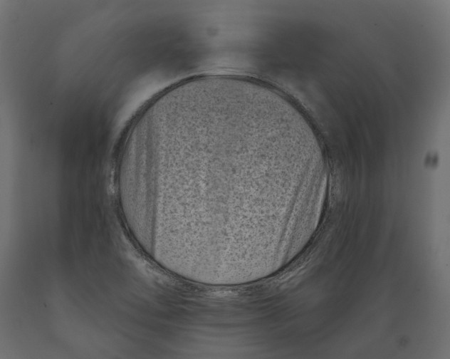 X0000088891462200707061421