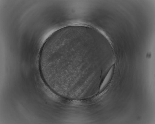 X0000088891463200707061421