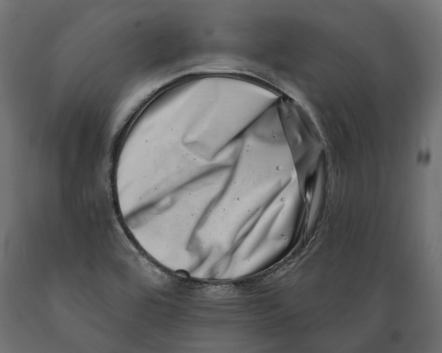 X0000088891464200707061421