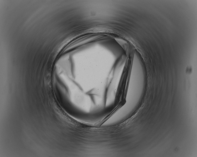 X0000088891465200707061421
