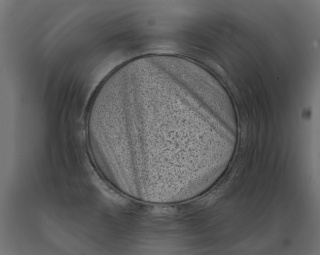 X0000088891466200707061421