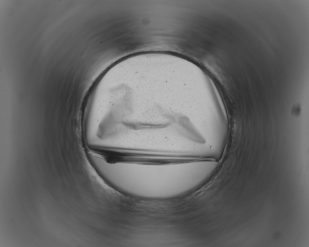 X0000088891468200707061421