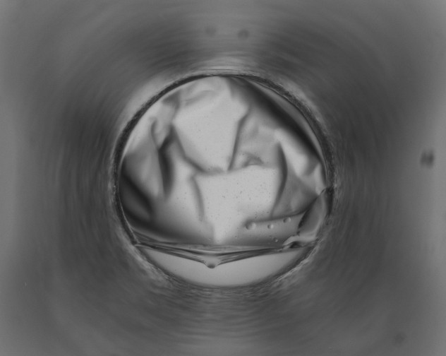 X0000088891469200707061421