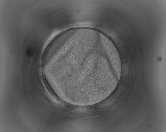 X0000088891470200707061421