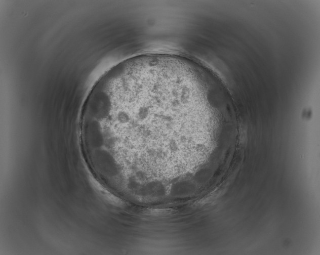 X0000088891471200707061421