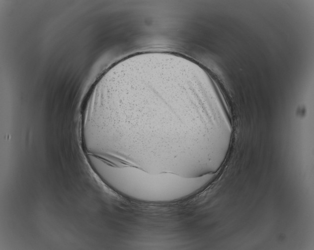 X0000088891472200707061421