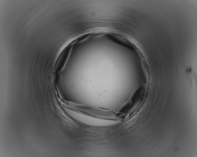 X0000088891473200707061421