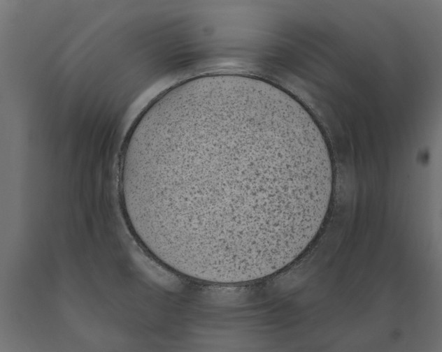 X0000088891474200707061421