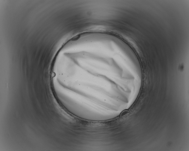 X0000088891475200707061421