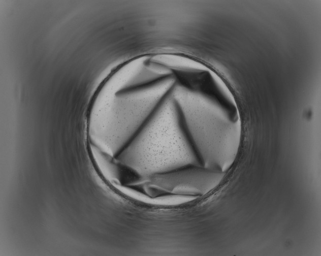 X0000088891476200707061421