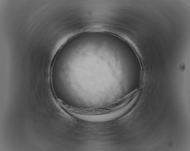 X0000088891477200707061421