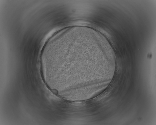 X0000088891478200707061421