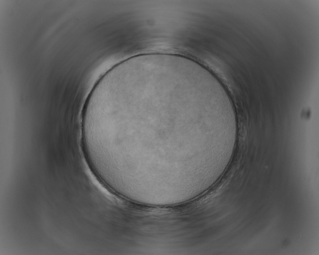 X0000088891479200707061421