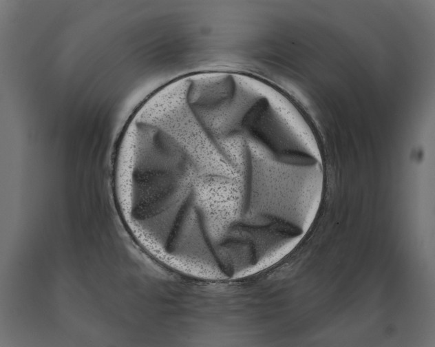 X0000088891480200707061421