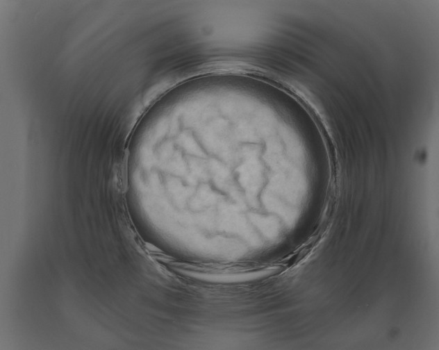 X0000088891481200707061421