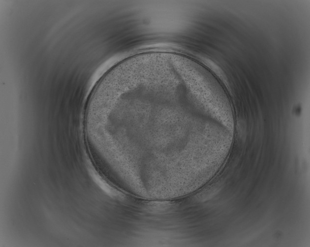 X0000088891482200707061421