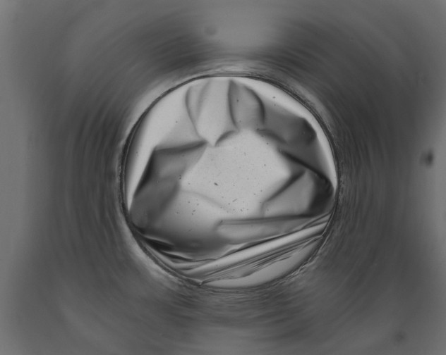 X0000088891483200707061421