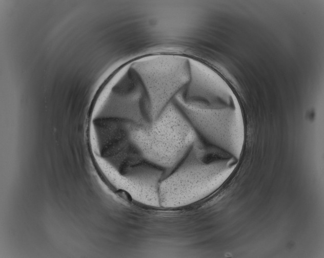 X0000088891484200707061421