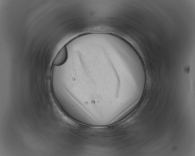 X0000088891486200707061421