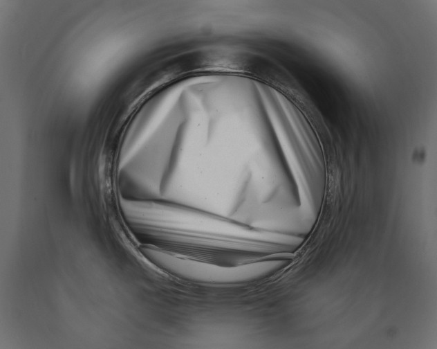 X0000088891487200707061421