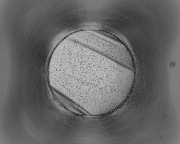 X0000088891488200707061421