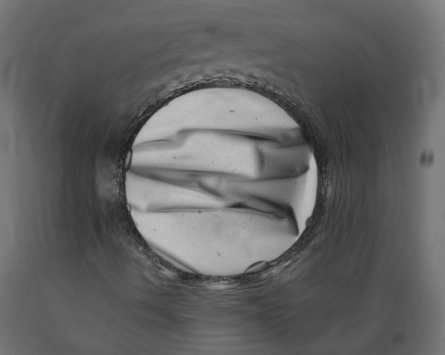 X0000088891490200707061420