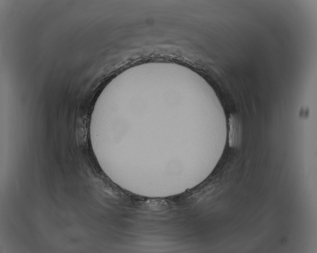 X0000088891491200707061420