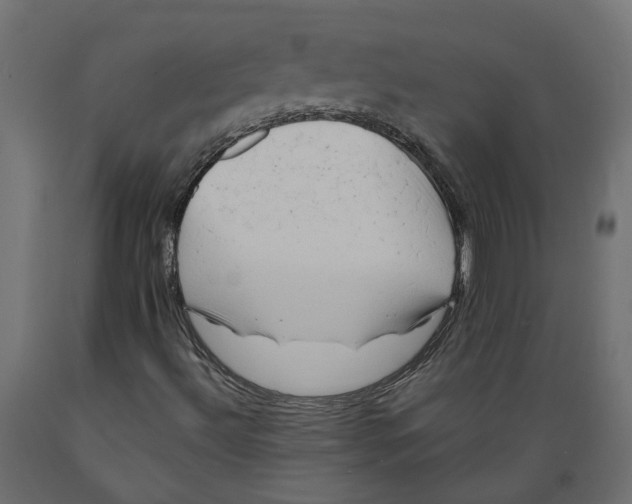 X0000088891492200707061420