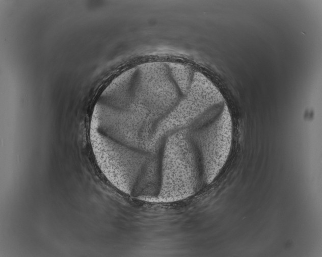 X0000088891493200707061420