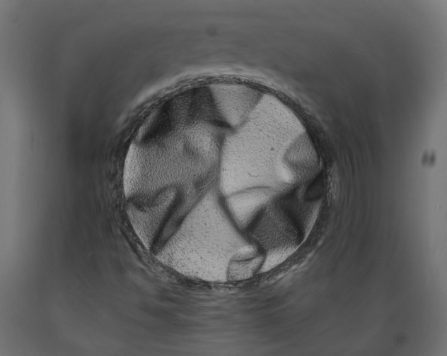 X0000088891494200707061420