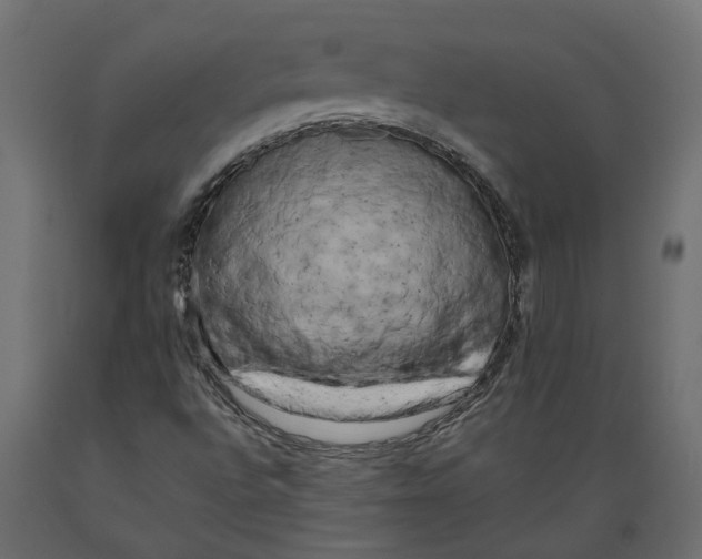 X0000088891496200707061420