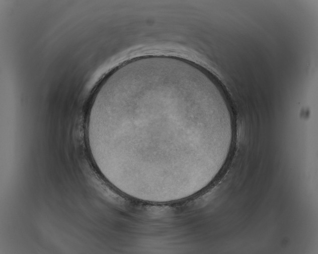 X0000088891498200707061420