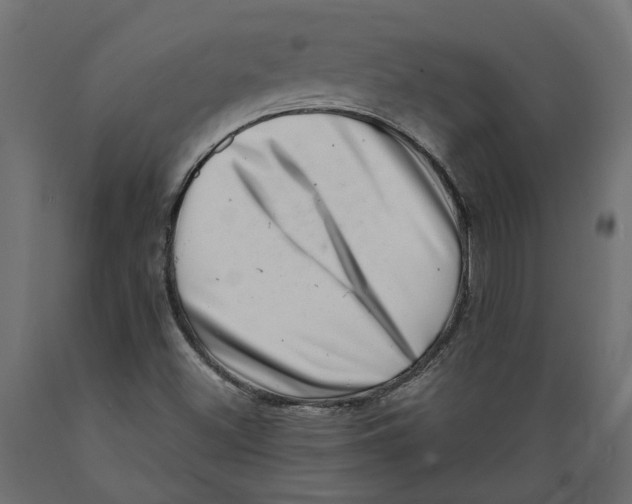 X0000088891500200707061420