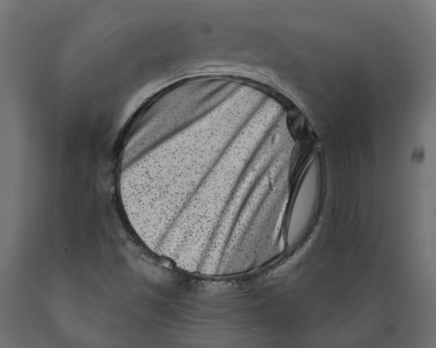X0000088891501200707061420