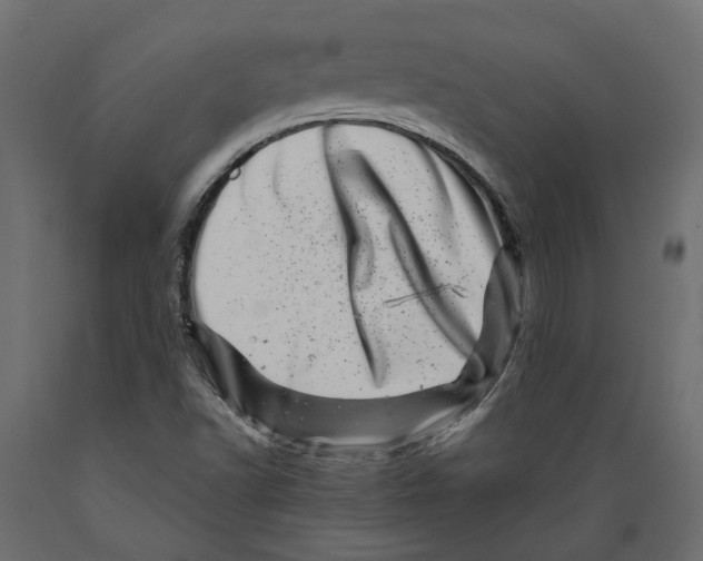 X0000088891502200707061420