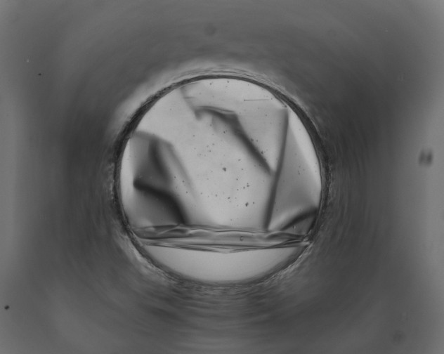 X0000088891503200707061420