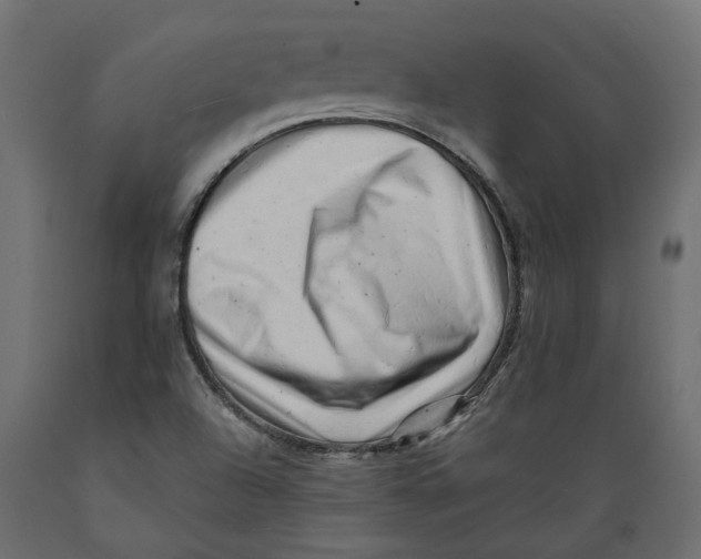 X0000088891504200707061420