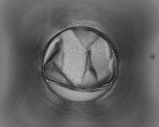 X0000088891505200707061420