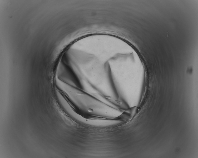X0000088891507200707061420