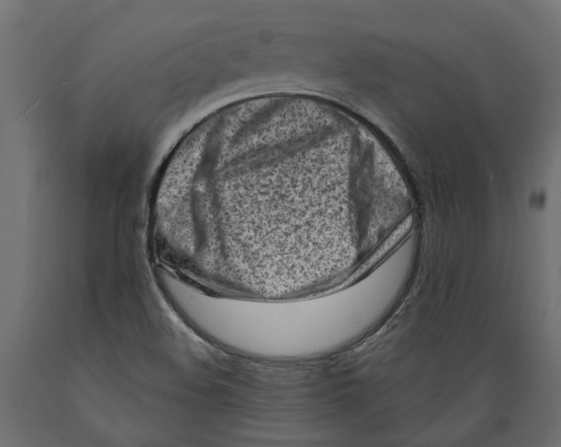 X0000088891508200707061420