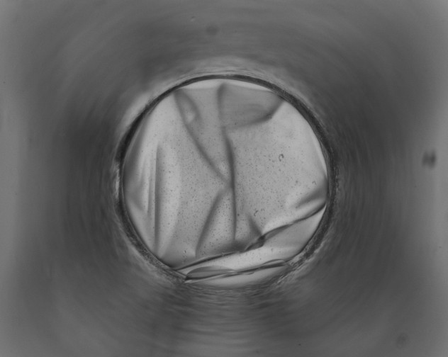 X0000088891509200707061420